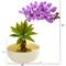 Nearly Natural; 12" Moth Orchid & Agave Arrangement in Decorative Vase; Category:Tabletop Floral Arrangements; Image:3